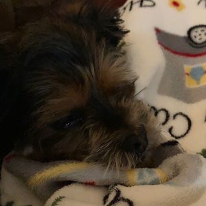 Meet your Posher, Michelle